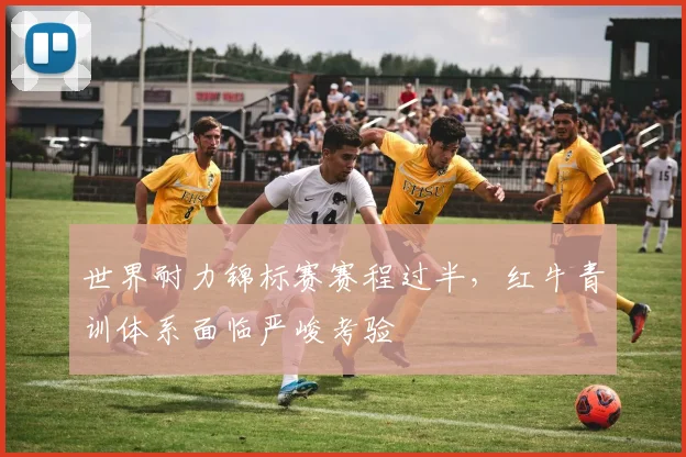 世界耐力锦标赛赛程过半，红牛青训体系面临严峻考验